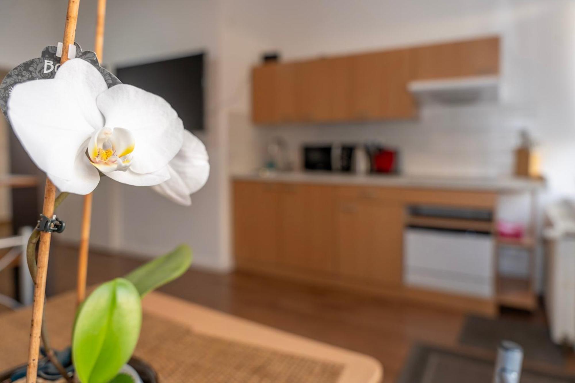 Cosy Nest - Apartment By Comfort Housing Falkensee Exterior photo